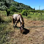 Holiday home Lily Home_lefkada ~ Private Kondaraina